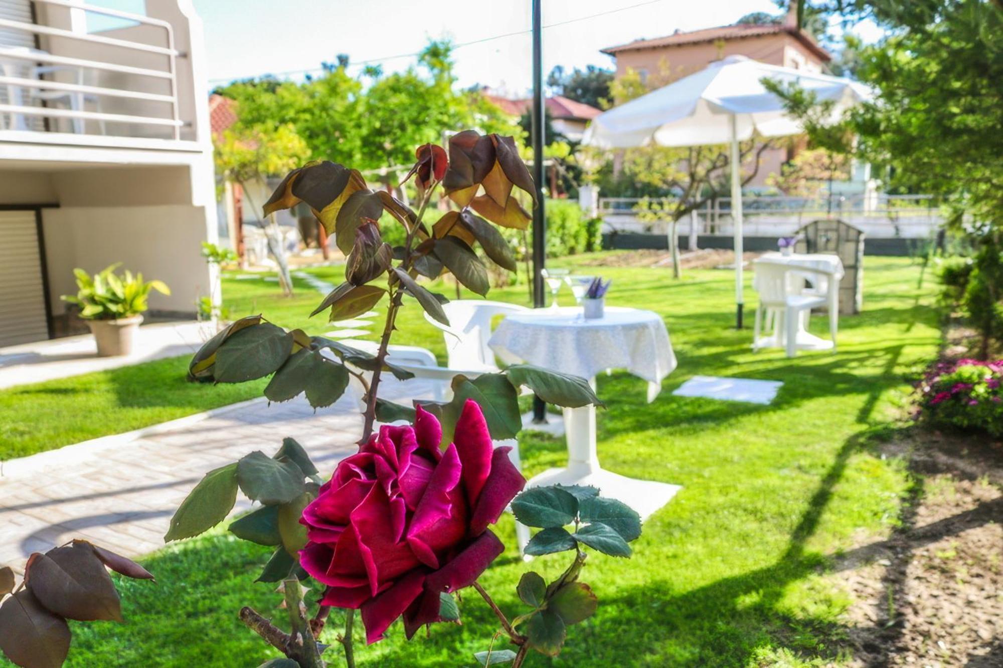 Vlachogiannis Hotel พริโนส ภายนอก รูปภาพ